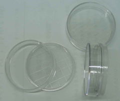 漯河市金田試驗設備研究所 技術轉讓與合作，引領試驗設備新未來